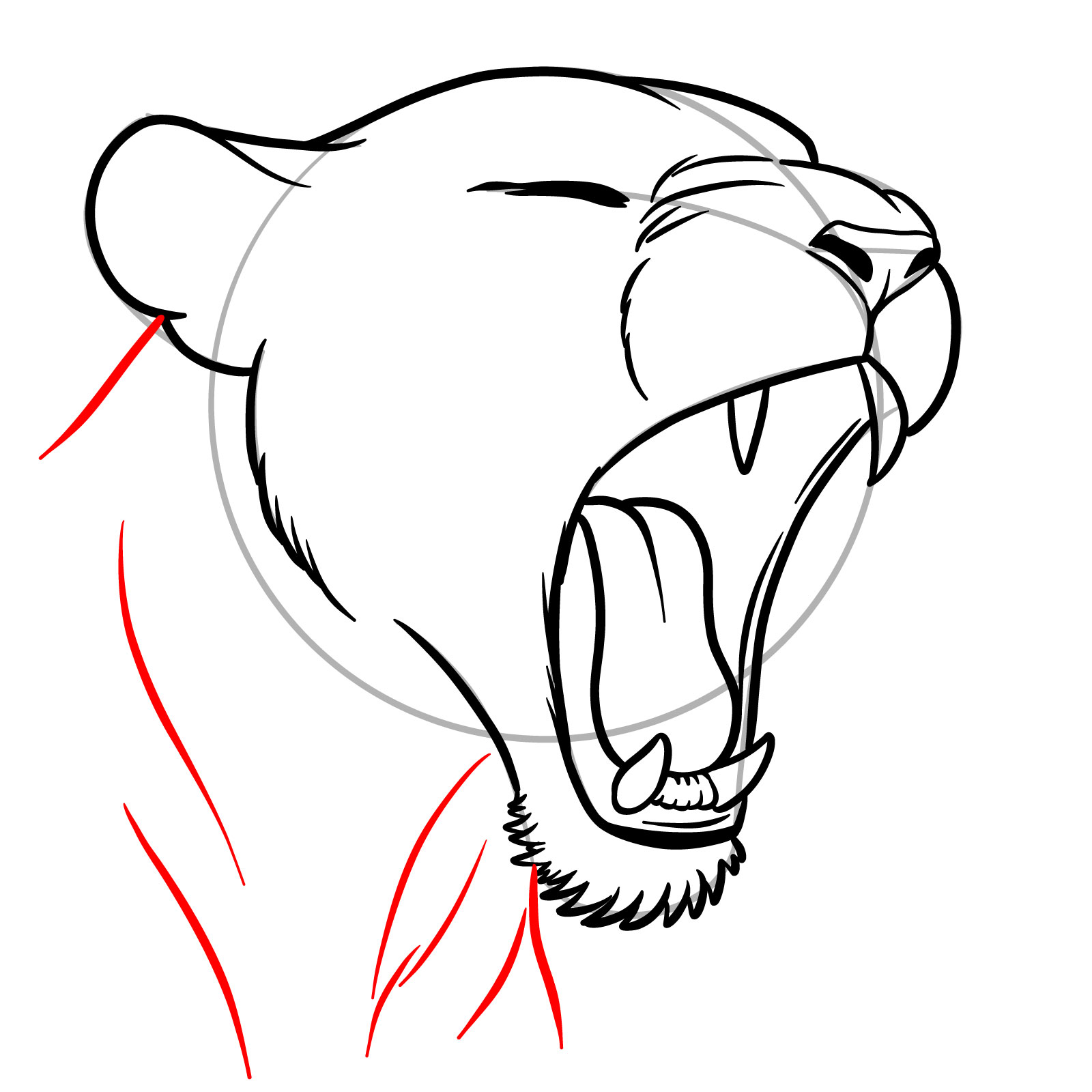 How to Draw a Lioness Yawning - step 12