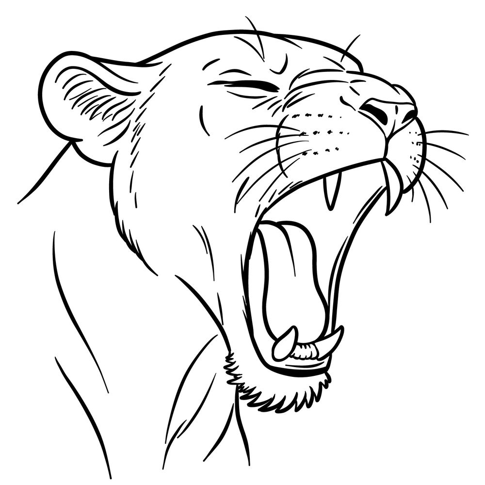 How to Draw a Lioness Yawning in 3/4: Lion Drawing Guide
