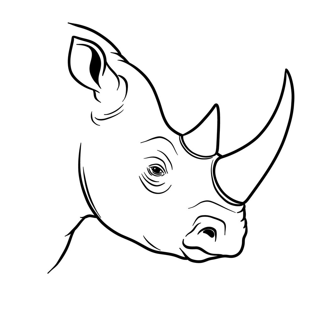 How to Draw a Rhino’s Head Side View: Rhinoceros Head Profile