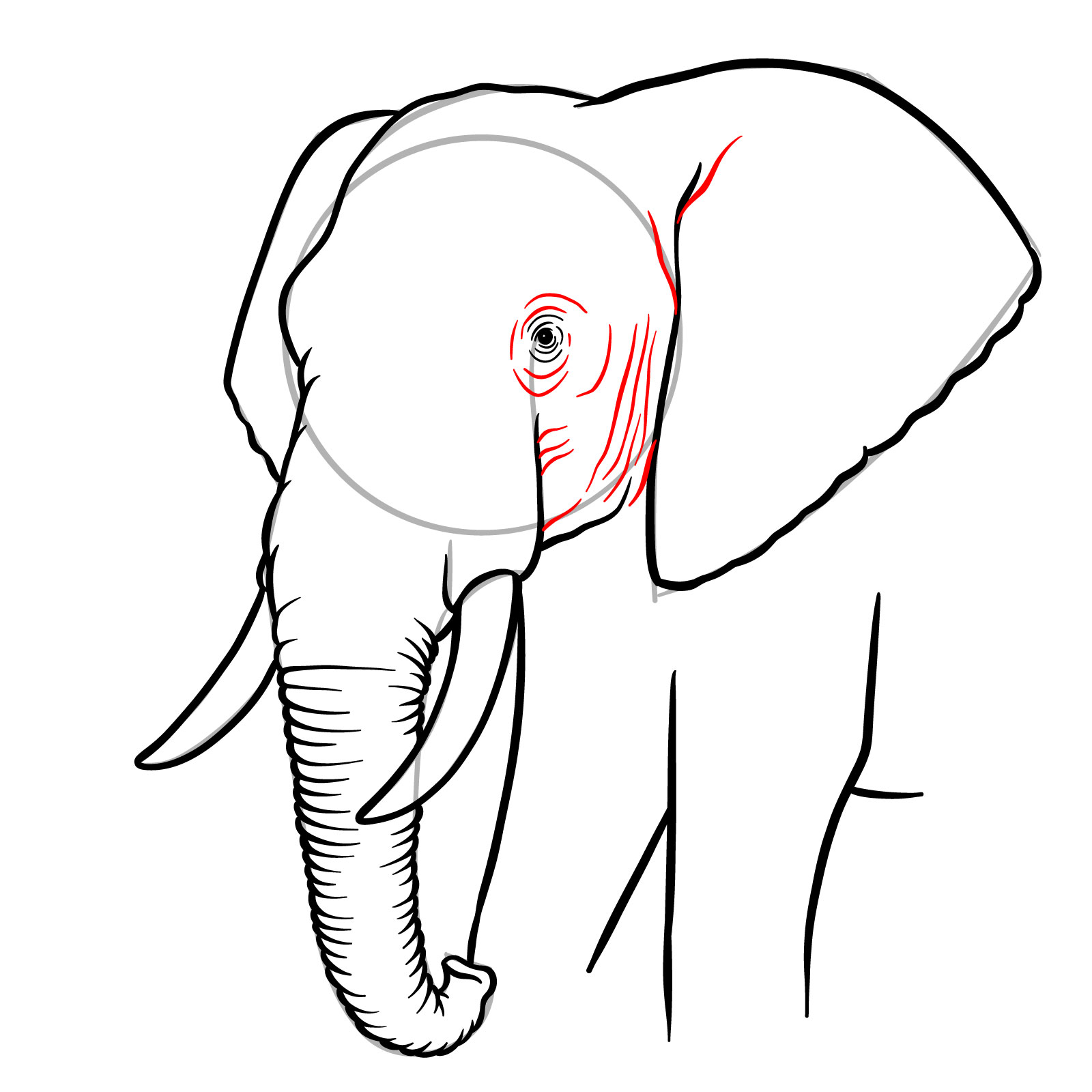 How to Draw an African Elephant Face - step 11