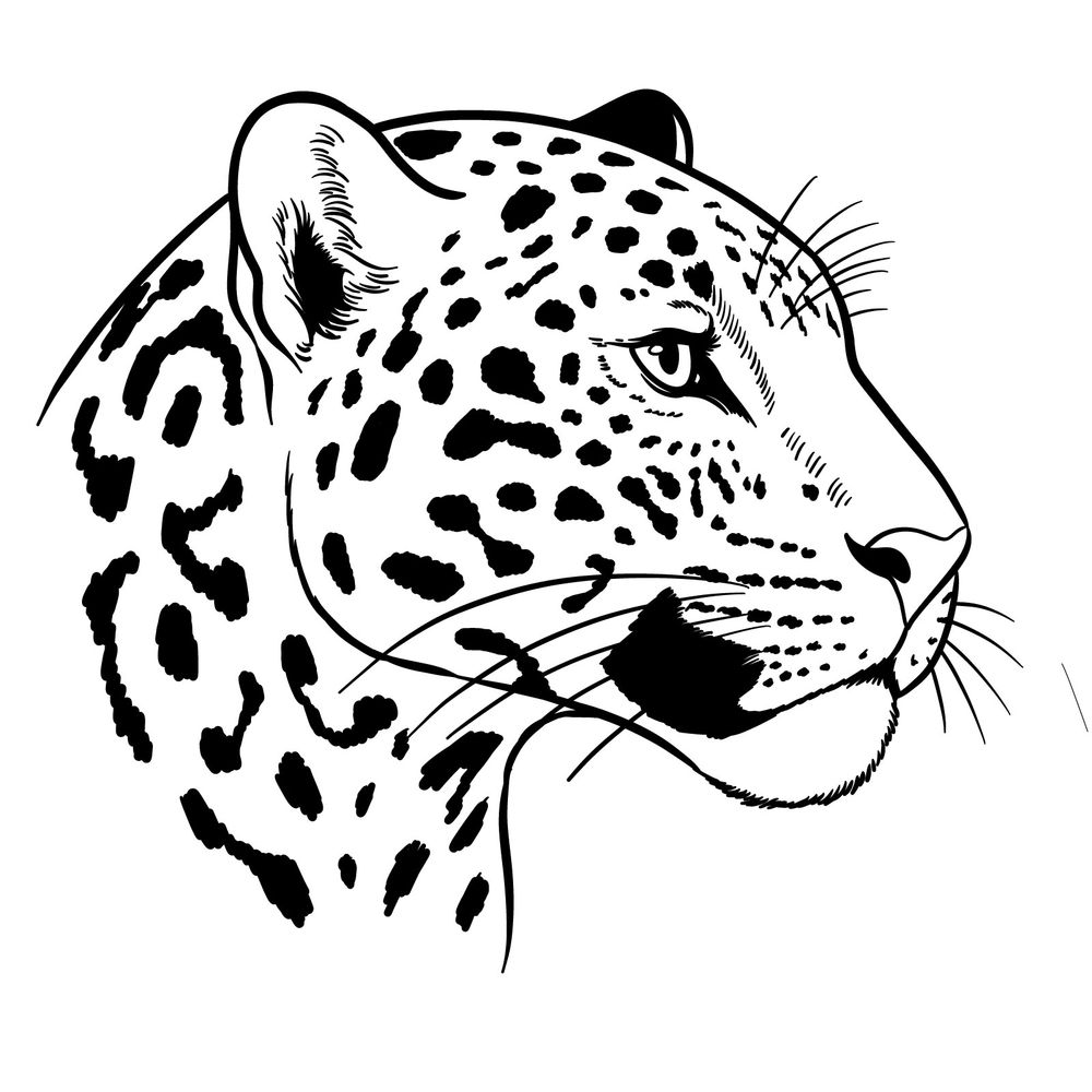 How to Draw a Jaguar Head Side View in 17 Steps