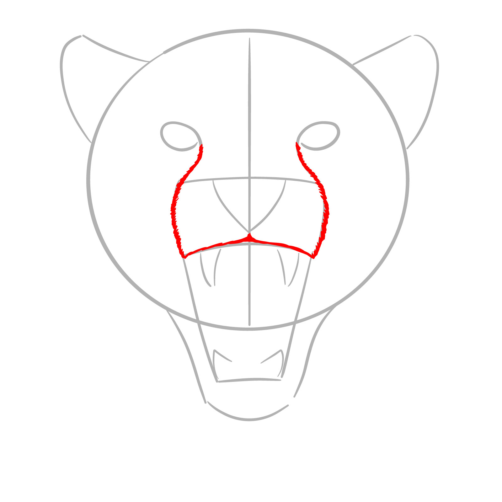 How to Draw a Roaring Cheetah - step 04