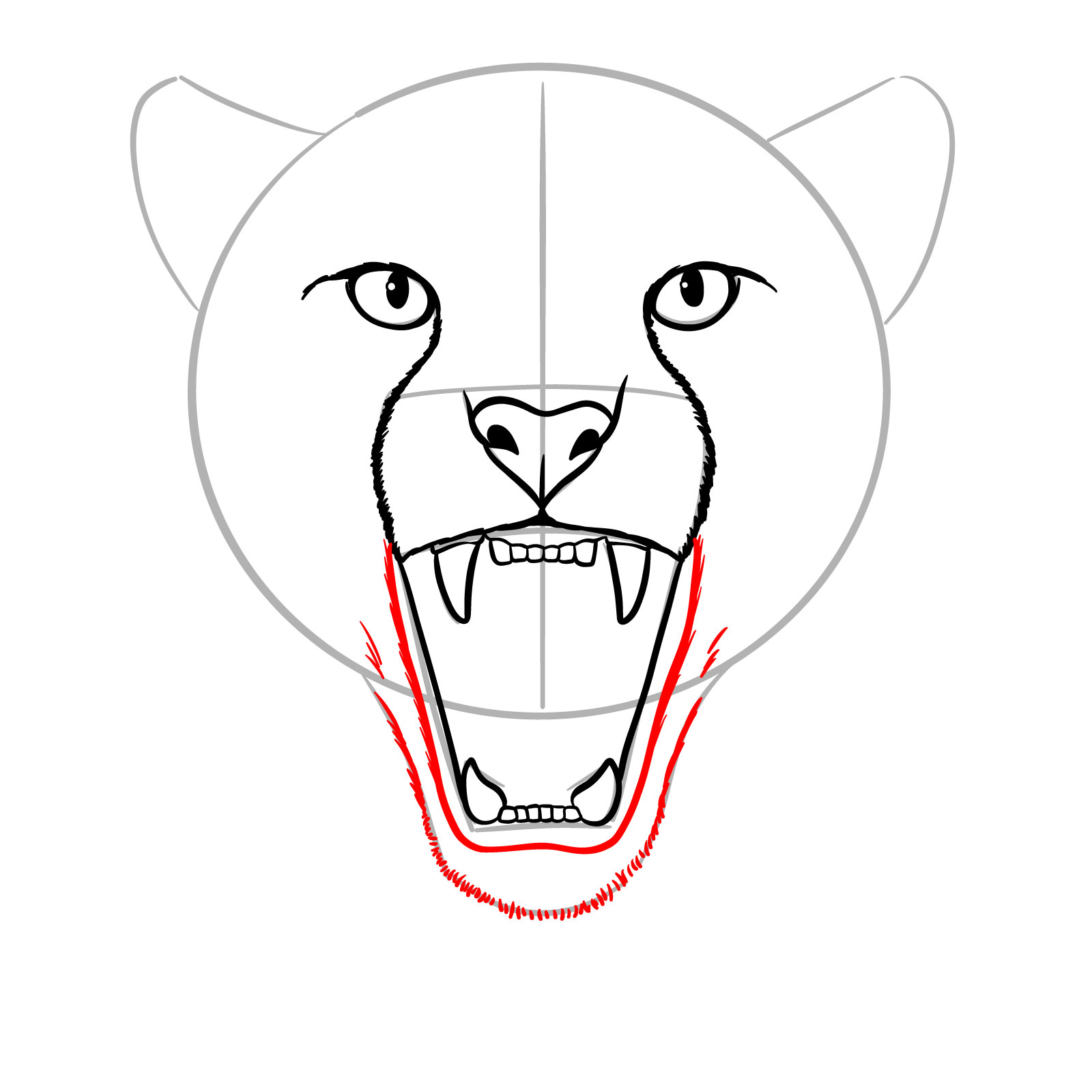 How to Draw a Roaring Cheetah - step 11