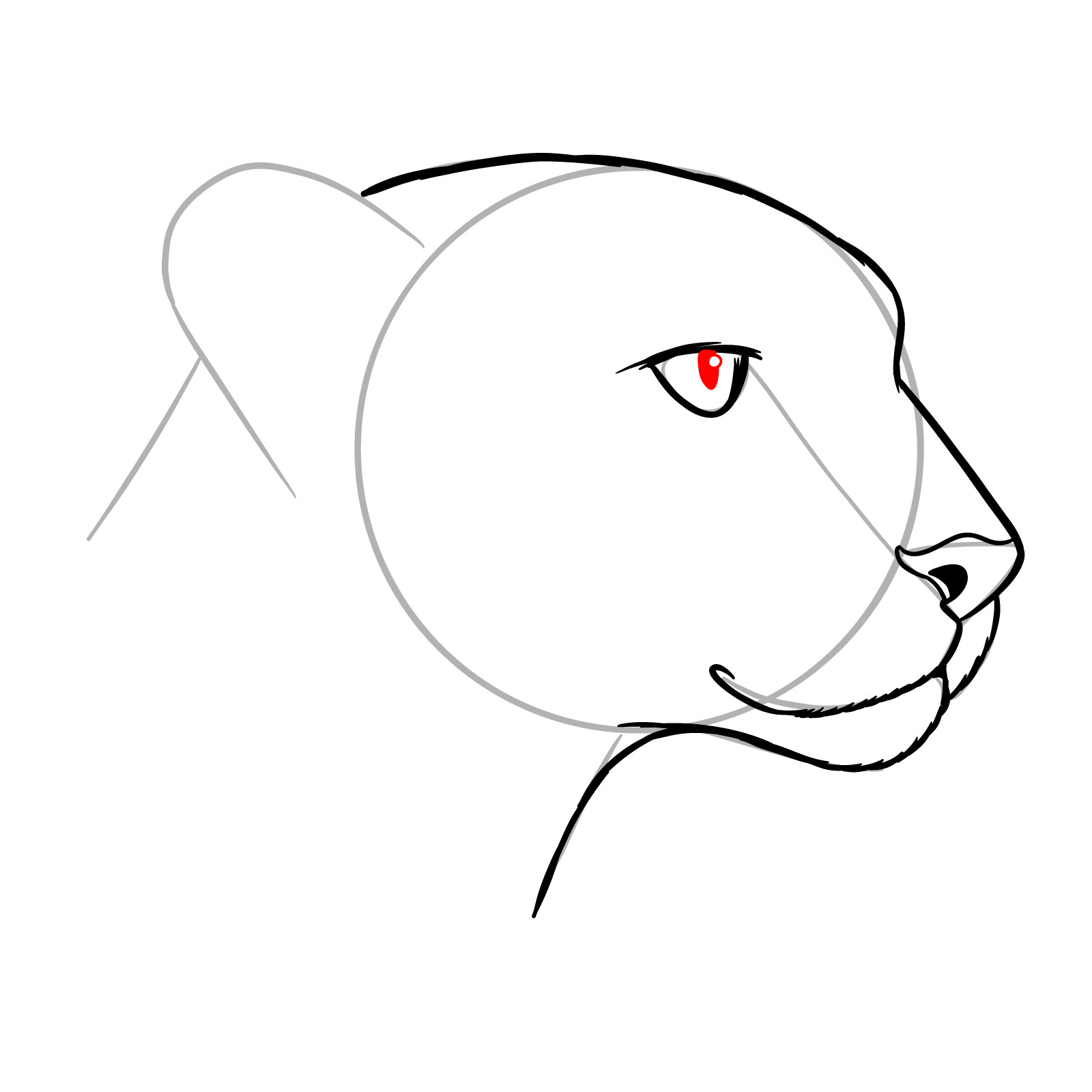 How to Draw a Cheetah Head Side View - step 09