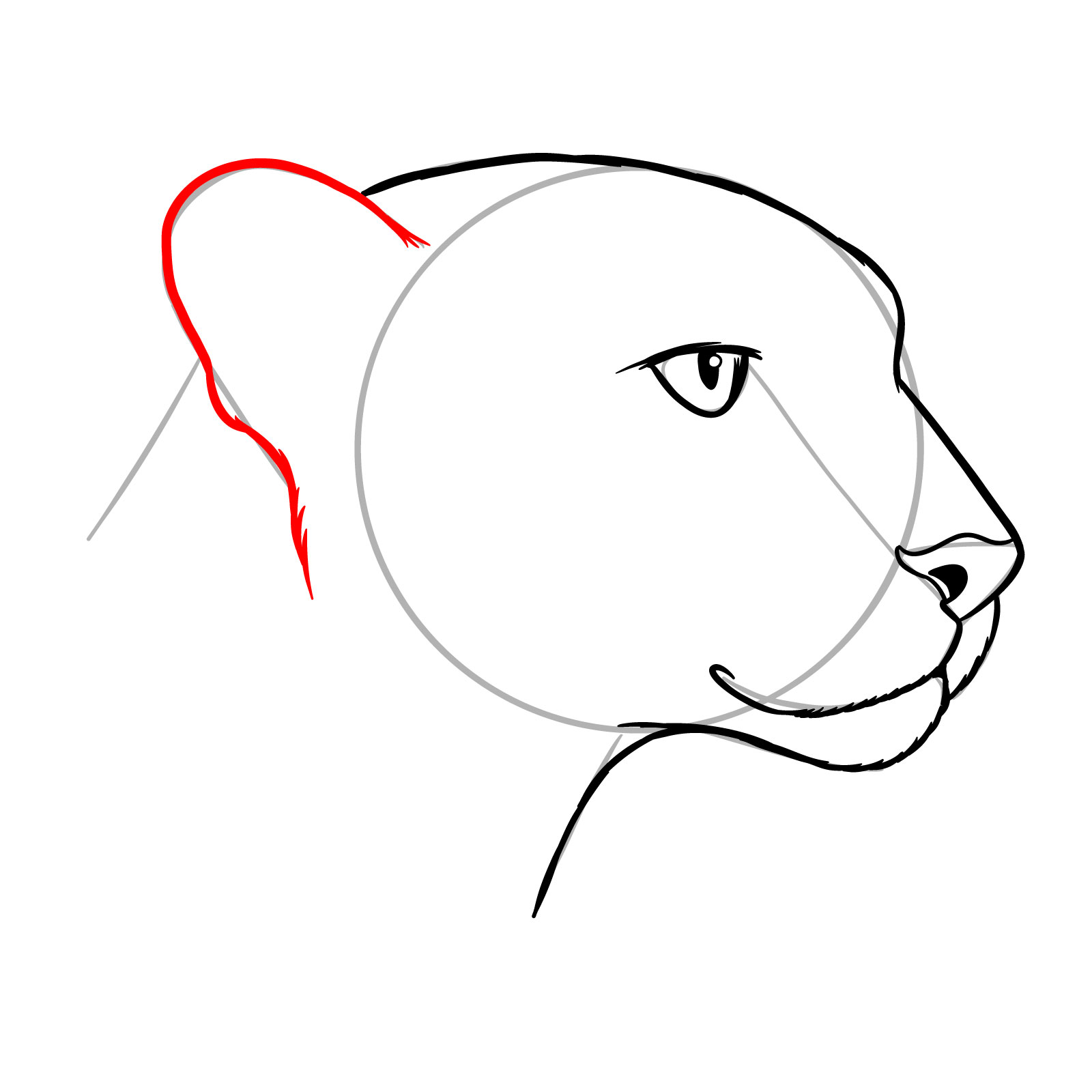 How to Draw a Cheetah Head Side View - step 10