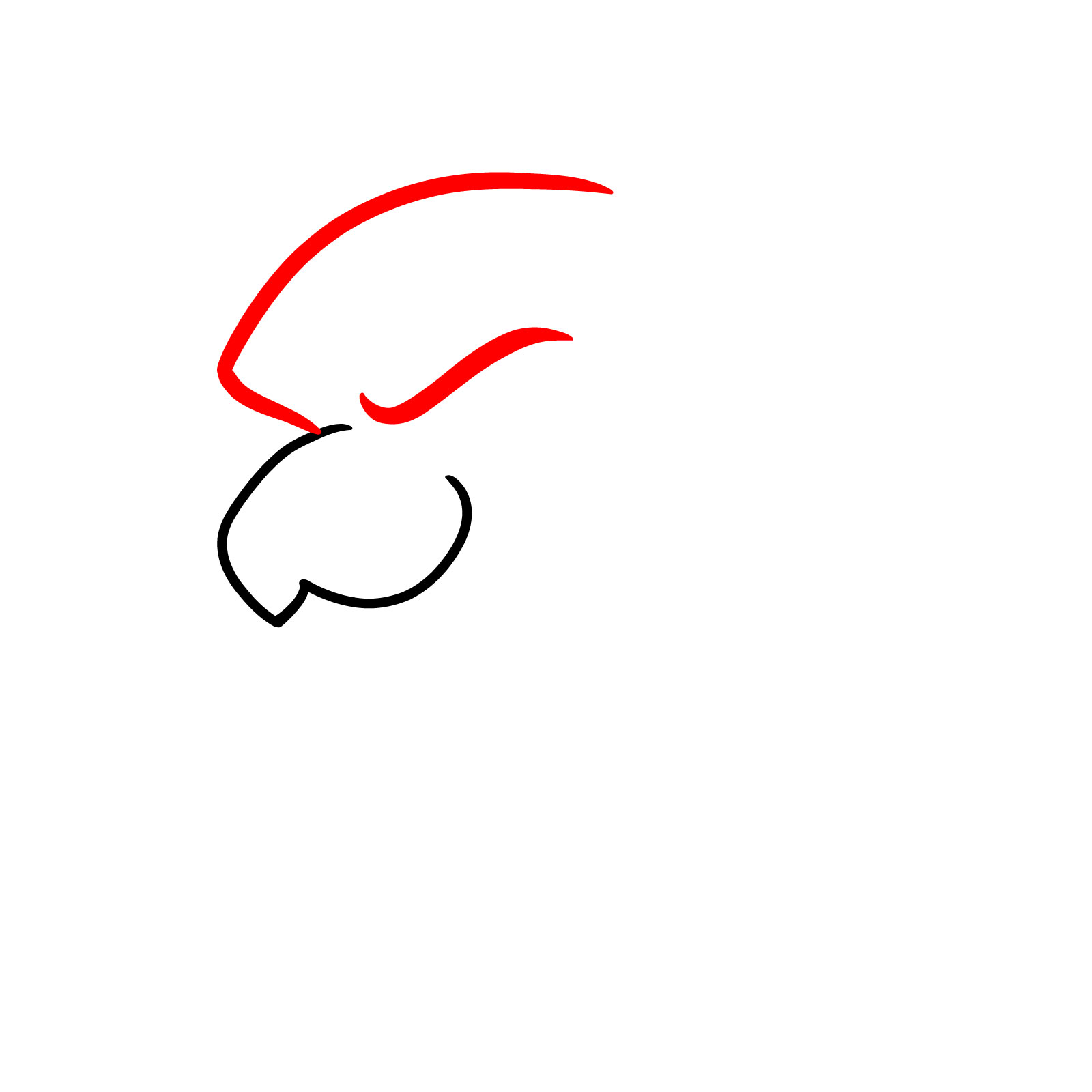 How to Draw a Cheetah Graffiti Head - step 02