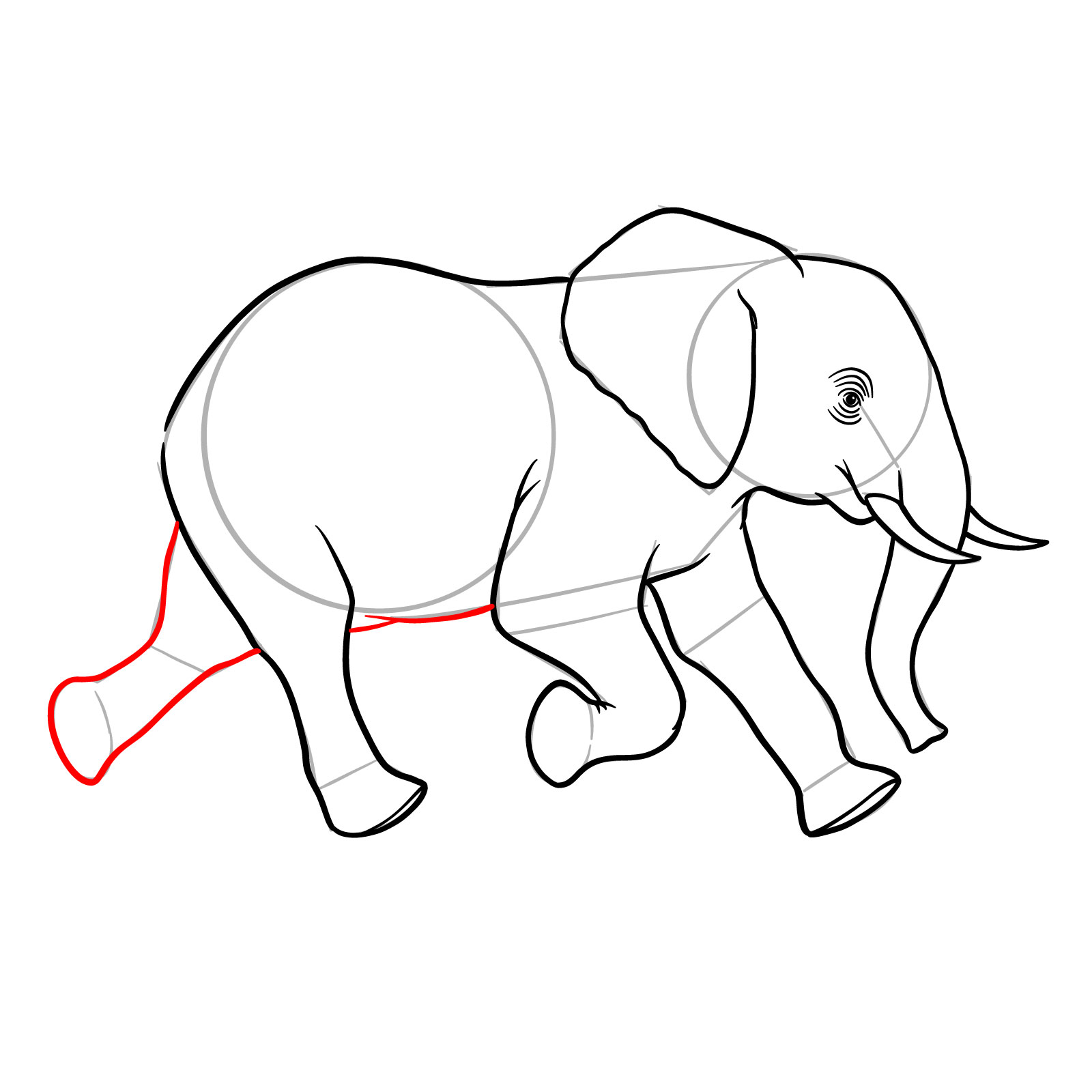 How to Draw a Young Elephant Running Side View - step 12