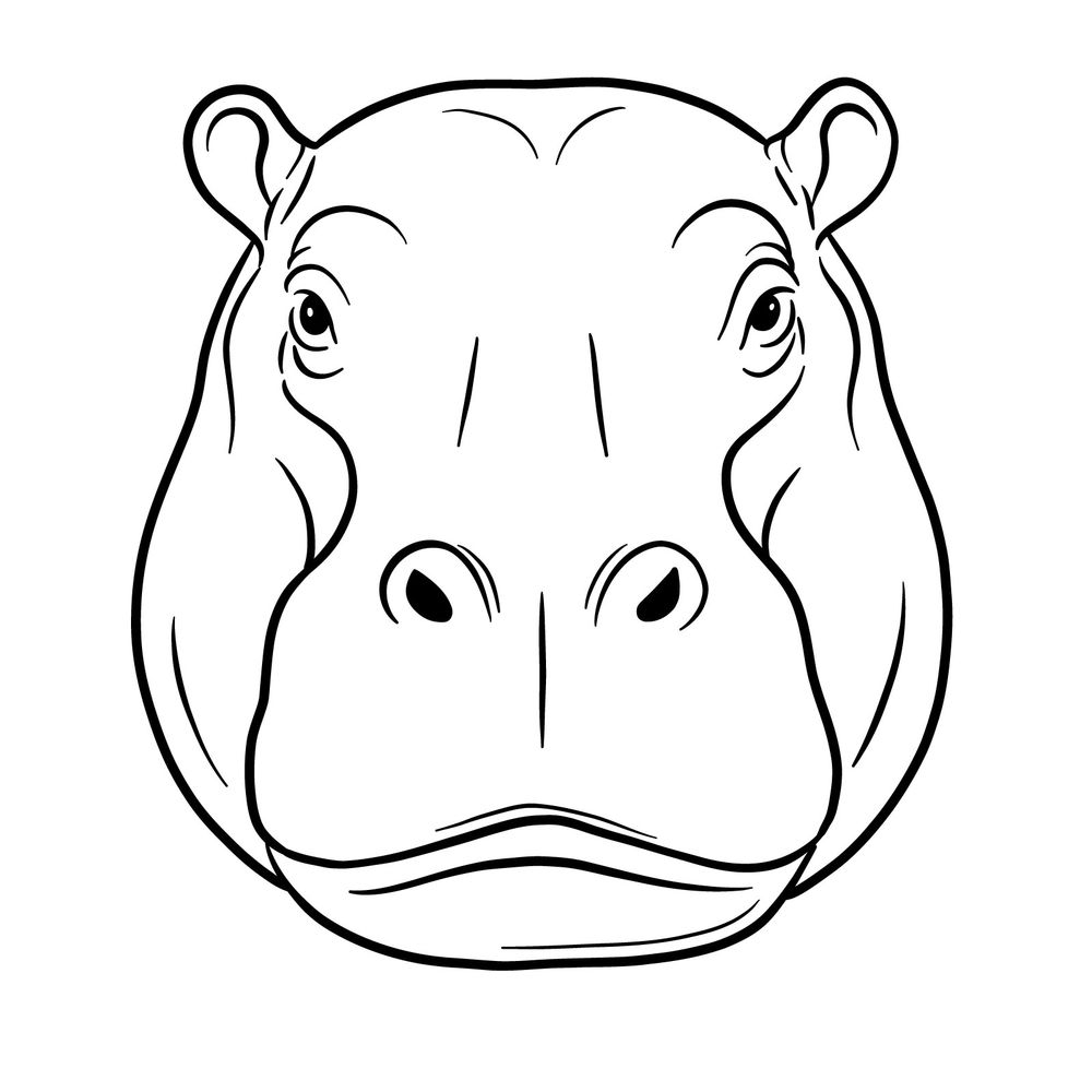 Hippopotamus Head Drawing Tutorial: Front View in 12 Easy Steps