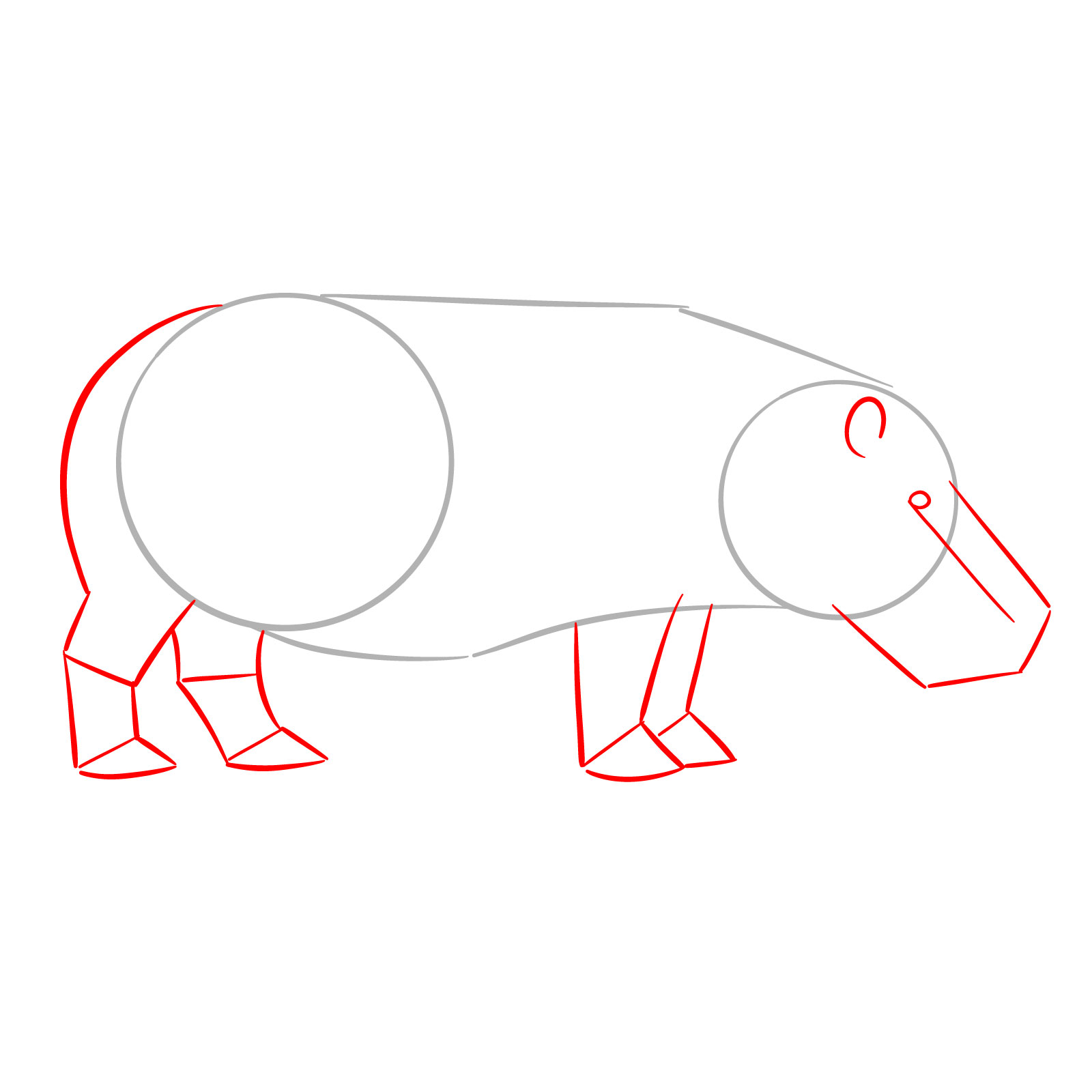 How to Draw a Hippo Side View - step 02