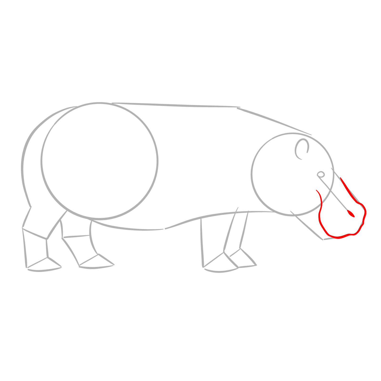 How to Draw a Hippo Side View - step 03