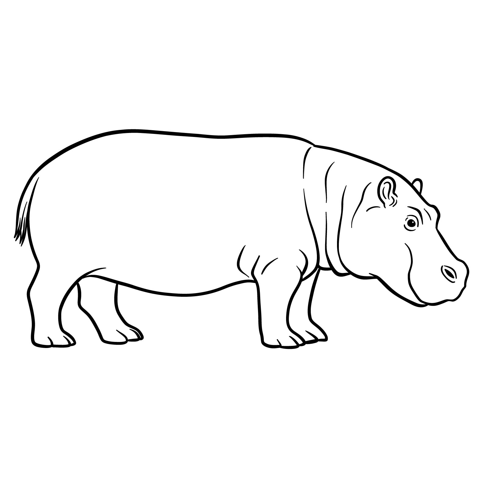 How to Draw a Hippo Side View - final step