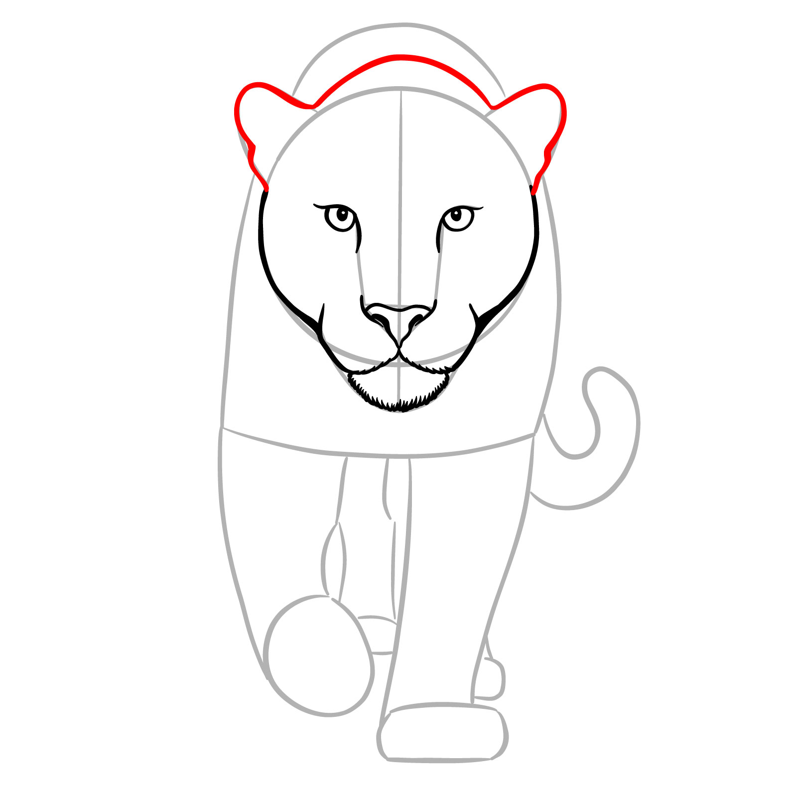 How to Draw a Jaguar Front View Walking - step 08