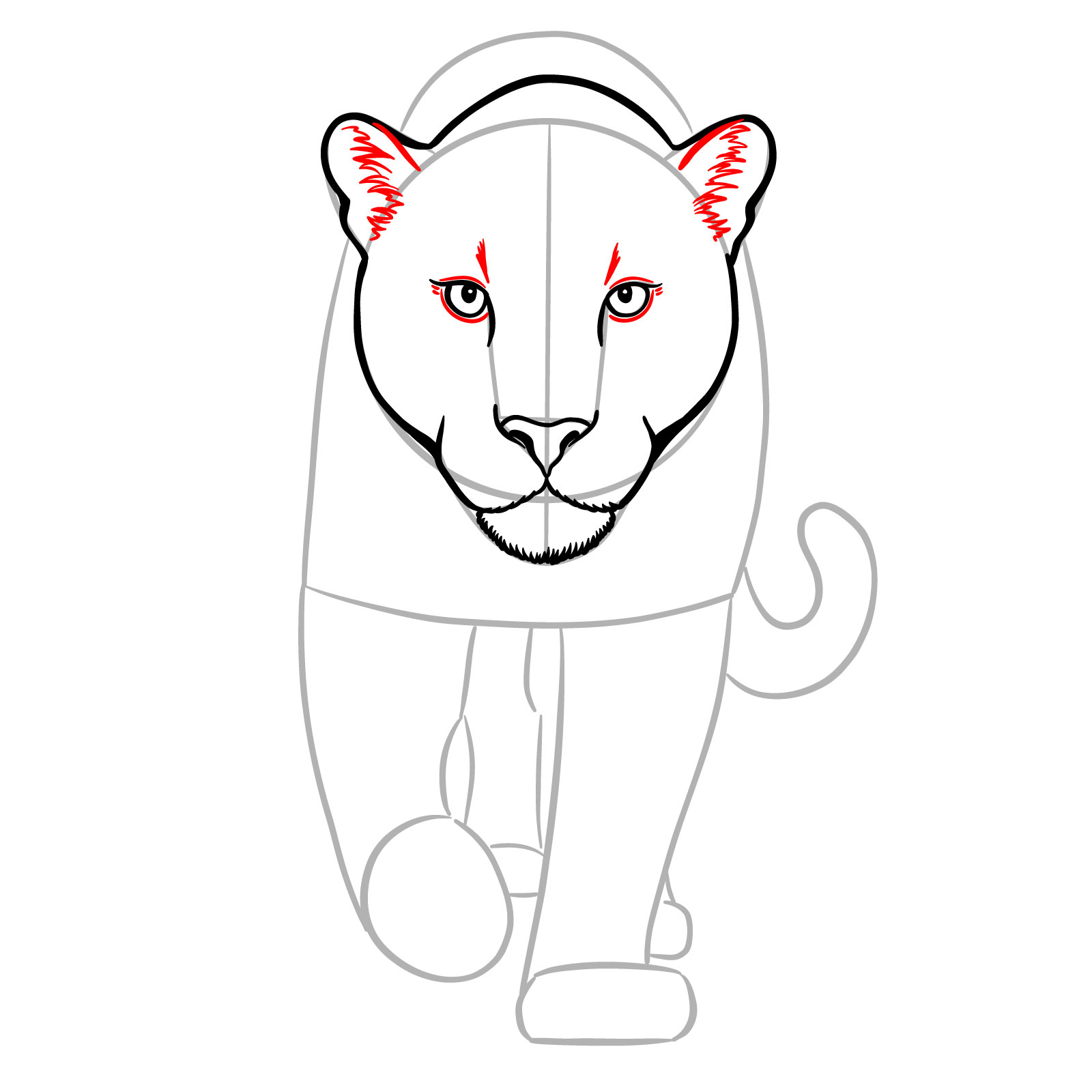 How to Draw a Jaguar Front View Walking - step 09