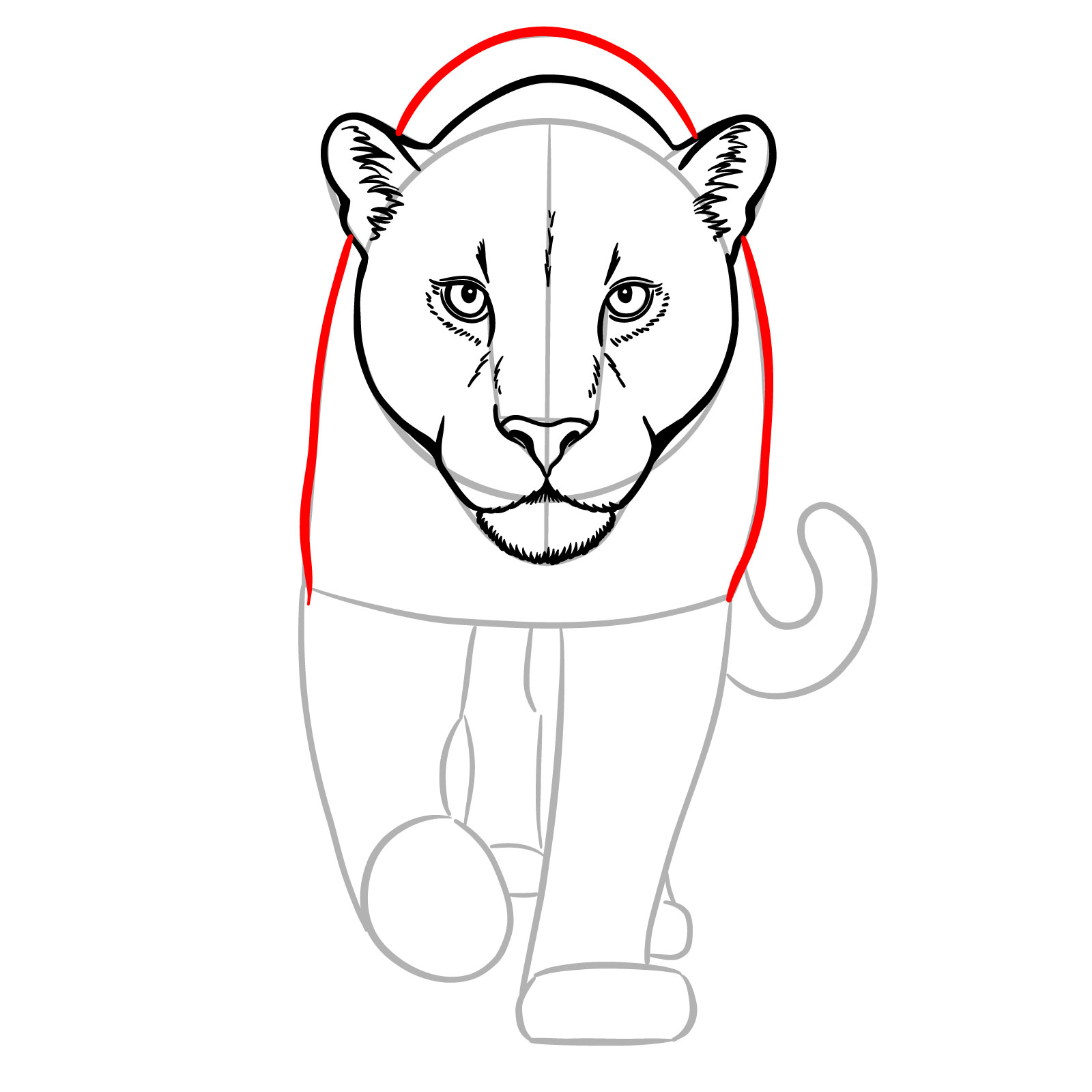 How to Draw a Jaguar Front View Walking - step 11
