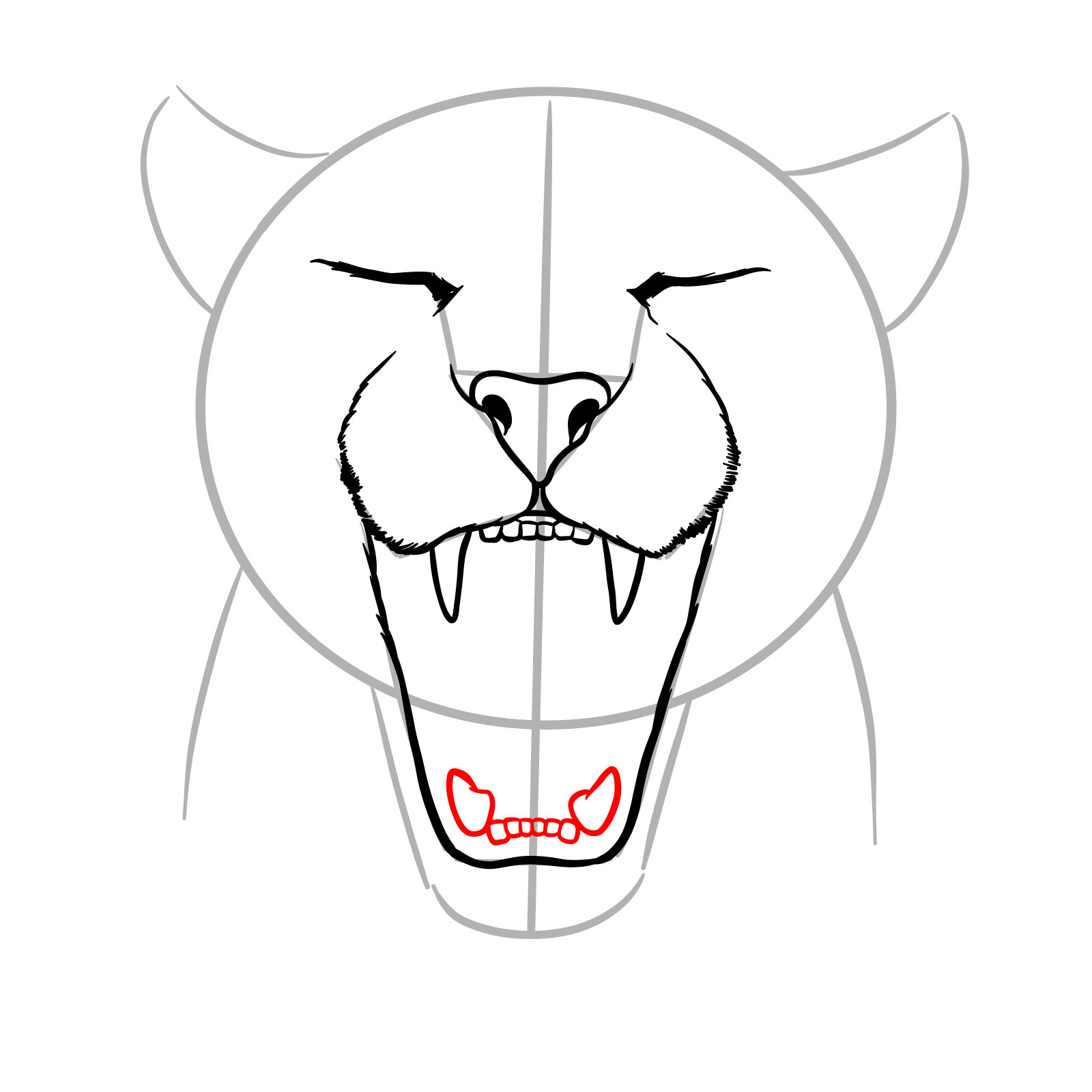 How to Draw a Jaguar Yawning - step 08