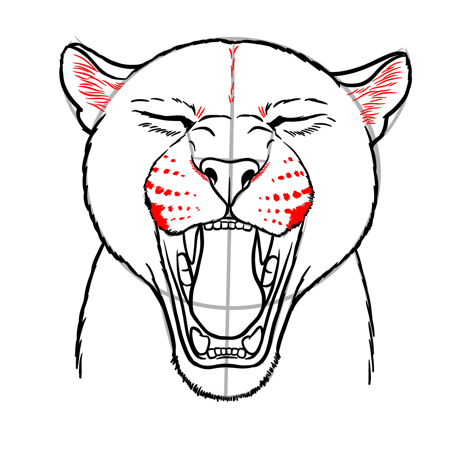 How to Draw a Jaguar Yawning - step 15