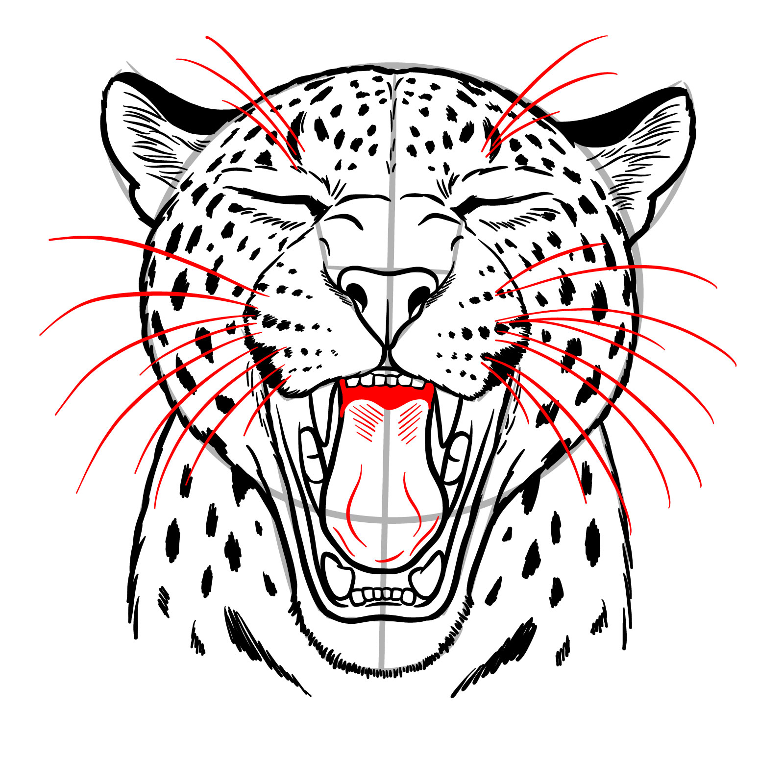 How to Draw a Jaguar Yawning - step 18