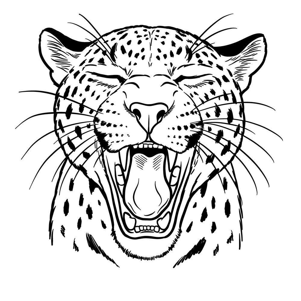 How to Sketch a Jaguar’s Roaring Yawn: 19 Steps Guide