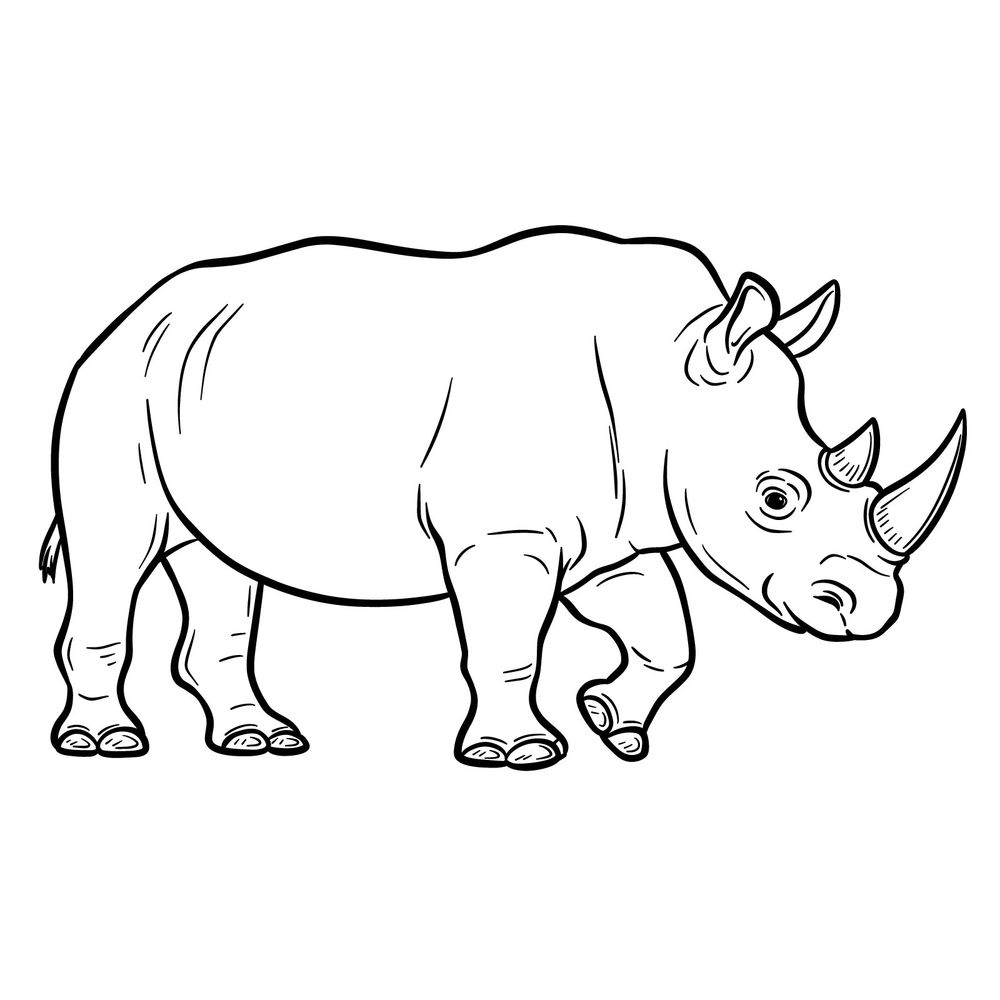 How to Draw a Rhino – Side View Full Body in 17 Steps