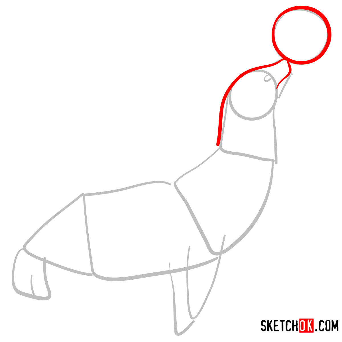 How to draw a Fur seal | Sea Animals - step 03