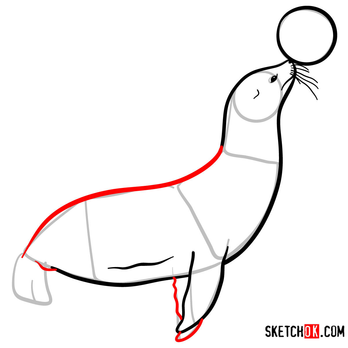 How to draw a Fur seal | Sea Animals - step 07