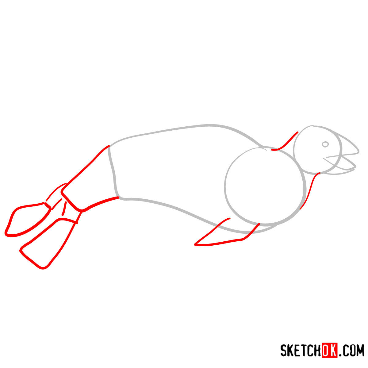 How to draw a Leopard seal | Sea Animals - step 02