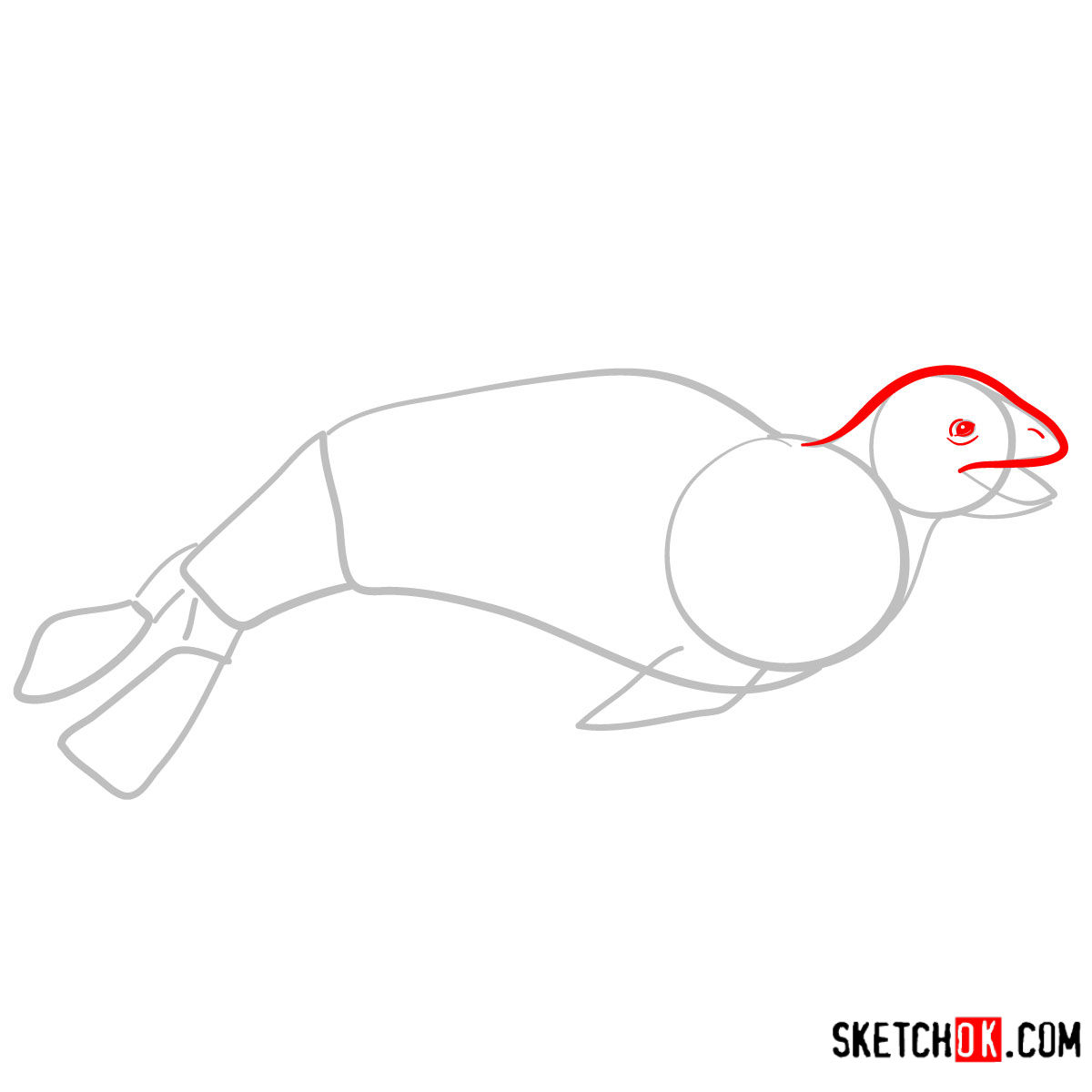 How to draw a Leopard seal | Sea Animals - step 03
