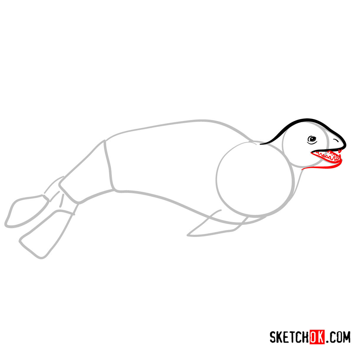 How to draw a Leopard seal Sea Animals Sketchok easy drawing guides