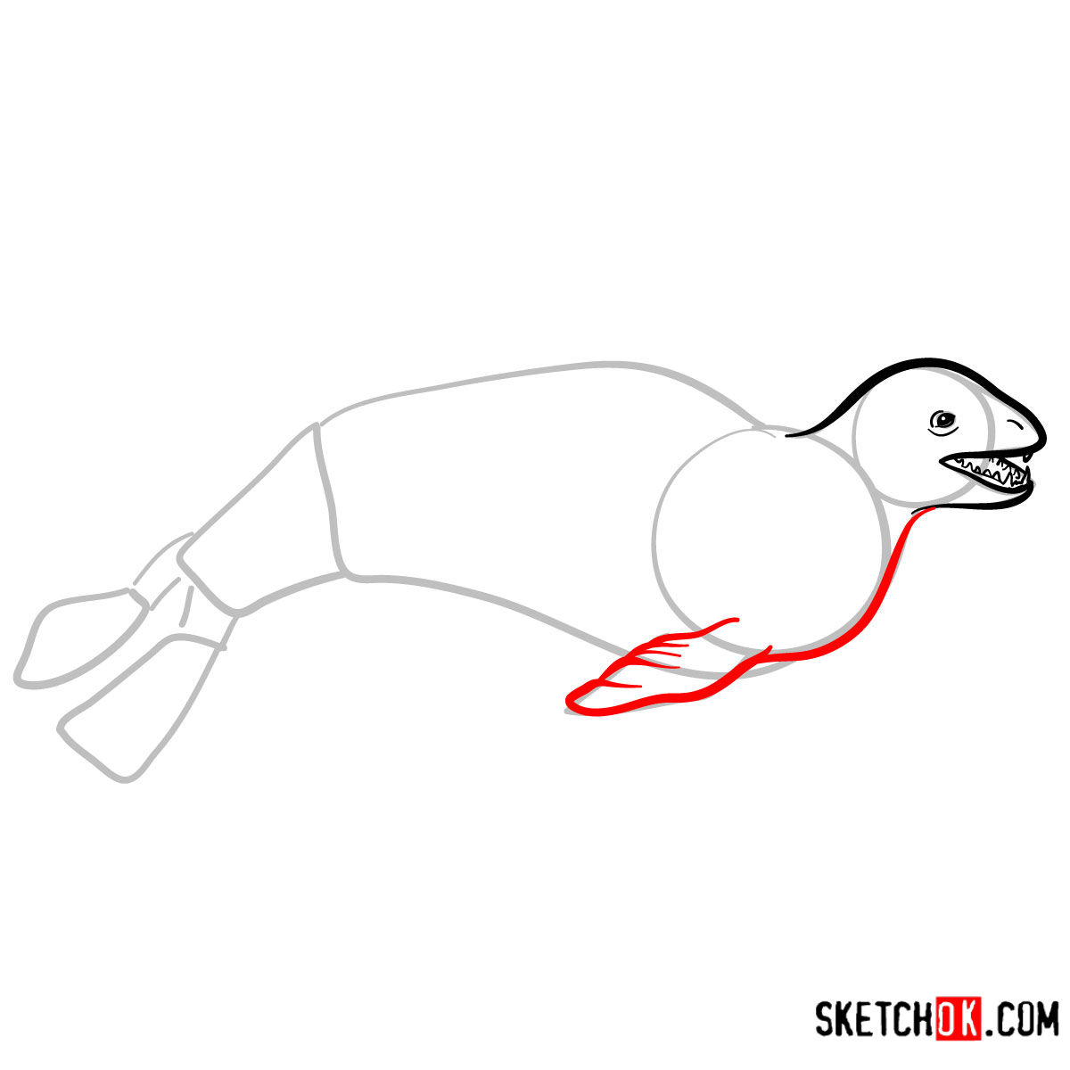 How to draw a Leopard seal | Sea Animals - step 05