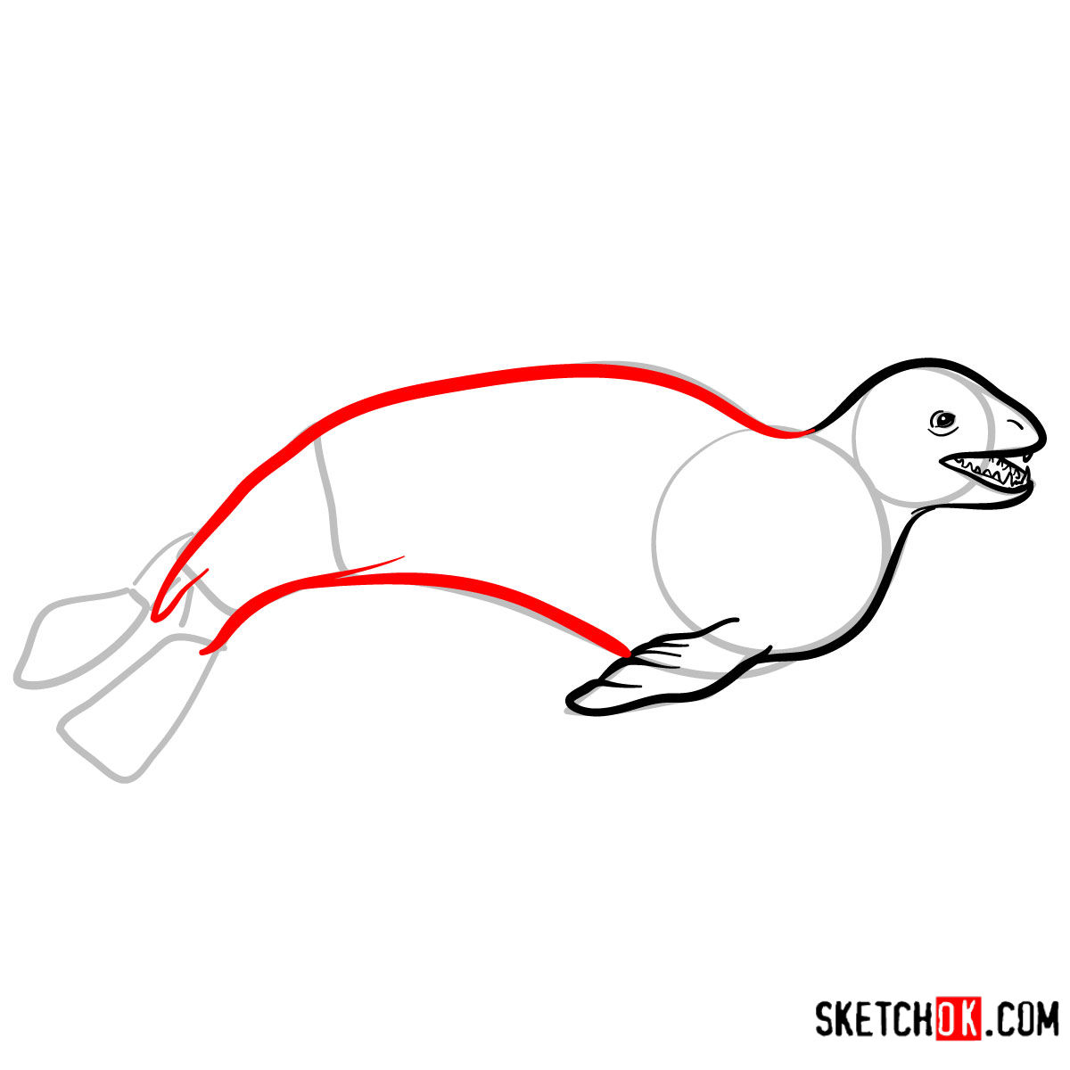 How to draw a Leopard seal | Sea Animals - step 06