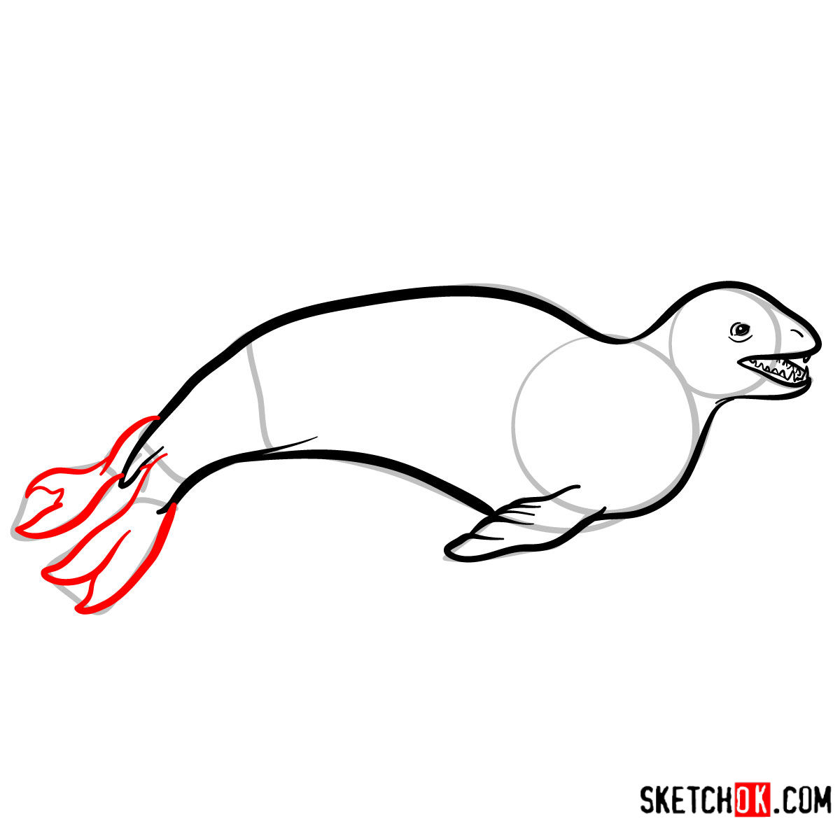 How to draw a Leopard seal | Sea Animals - step 07