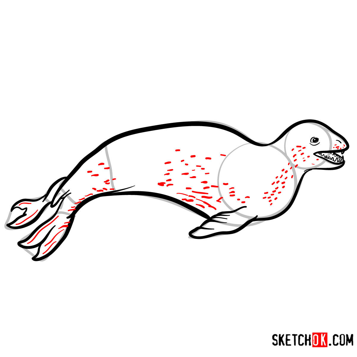 How to draw a Leopard seal | Sea Animals - step 08