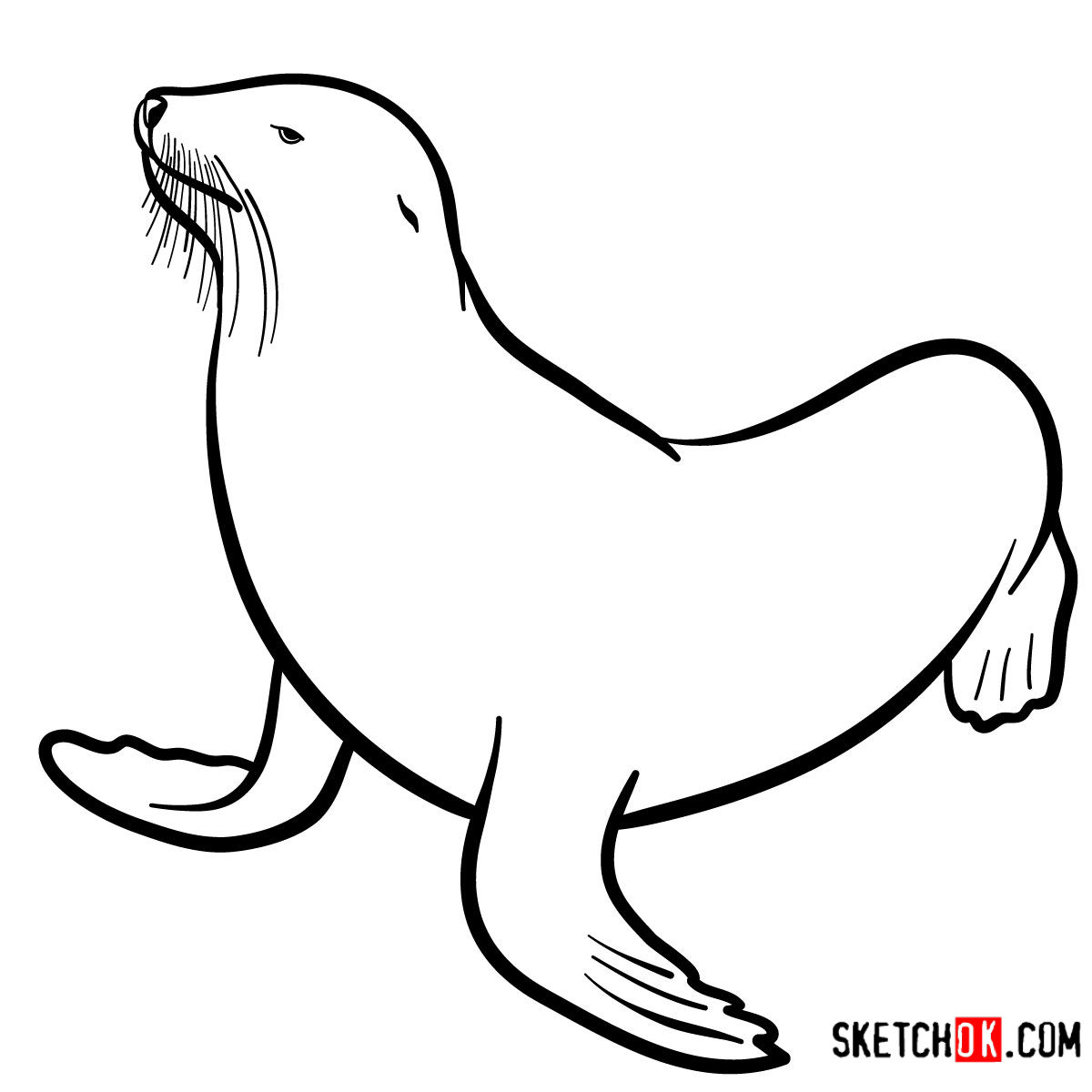How to draw a Sea lion | Sea Animals - Sketchok easy drawing guides