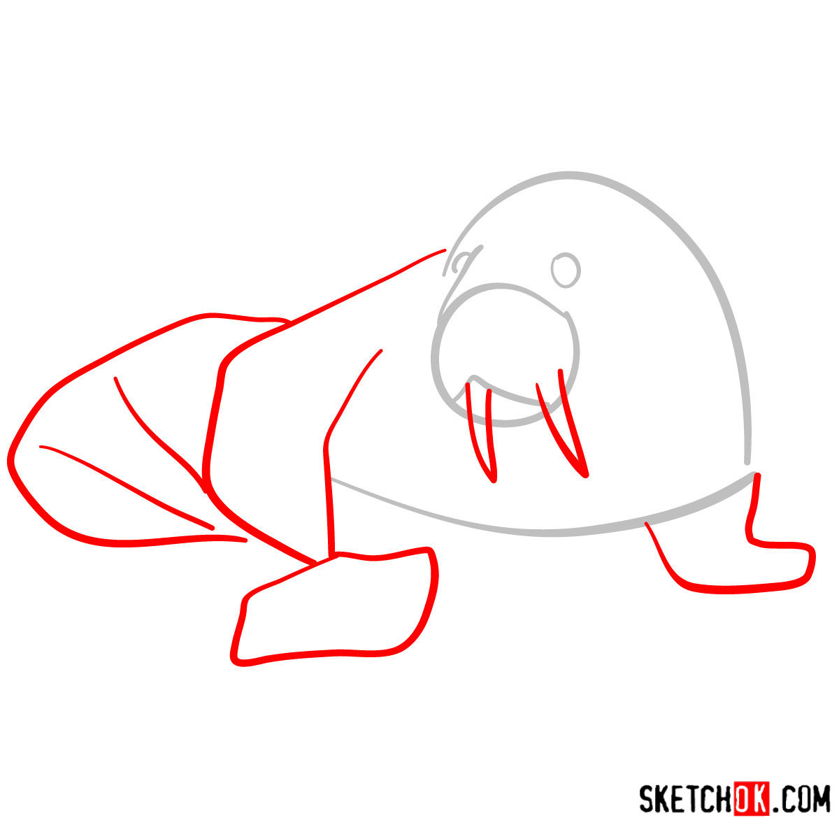 How to draw a Walrus | Sea Animals - step 02