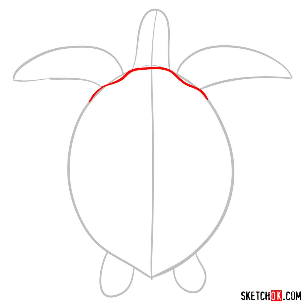 How to draw a Sea Turtle (view from the top) - Sketchok