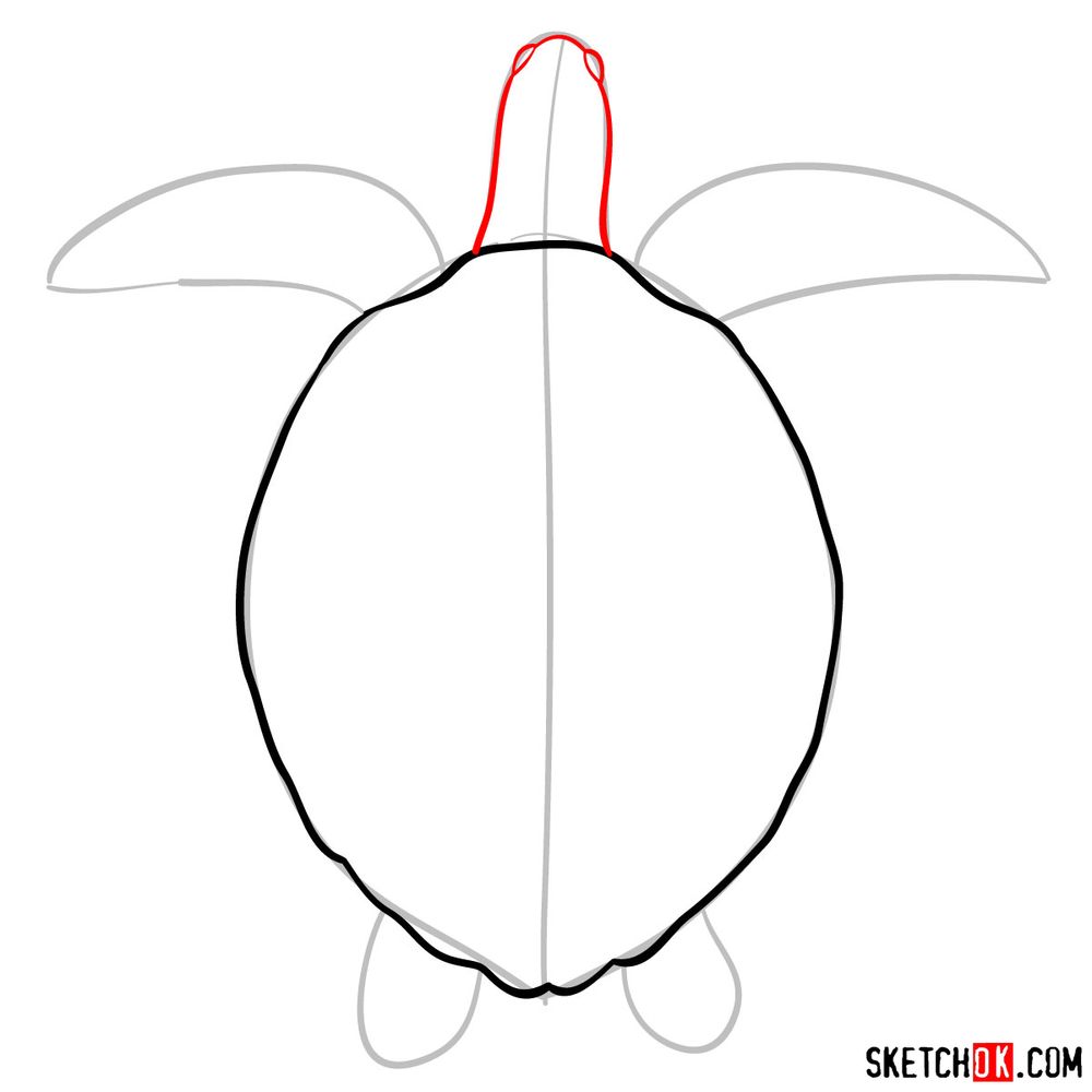 How to draw a Sea Turtle - step 04