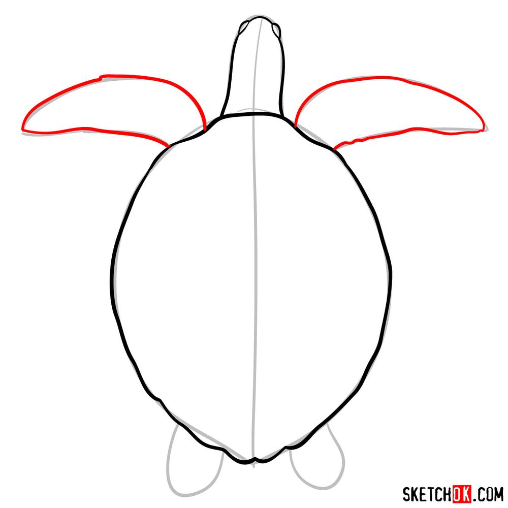 How to draw a Sea Turtle - step 05