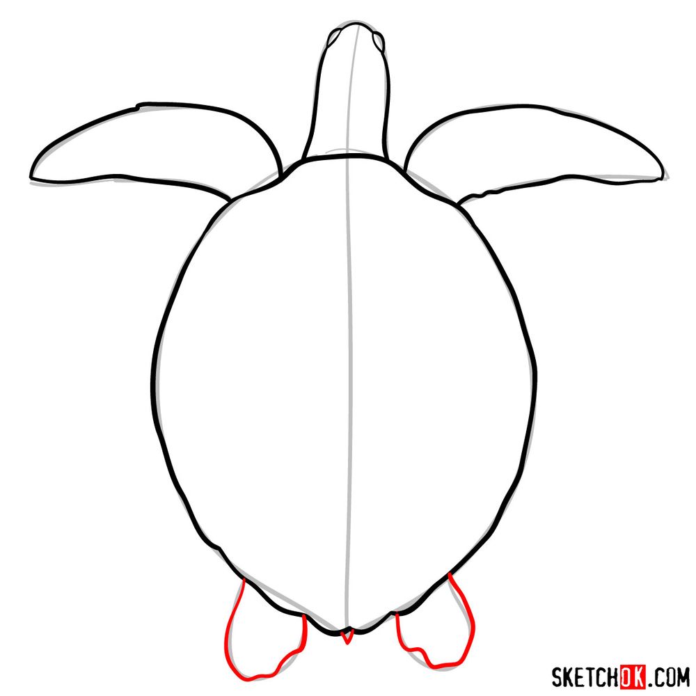 How to draw a Sea Turtle - step 06