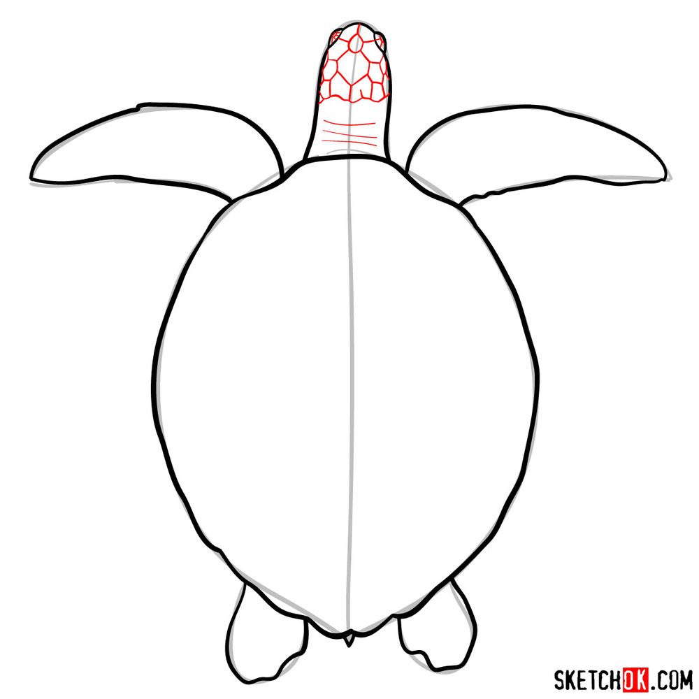 How to draw a Sea Turtle - step 07