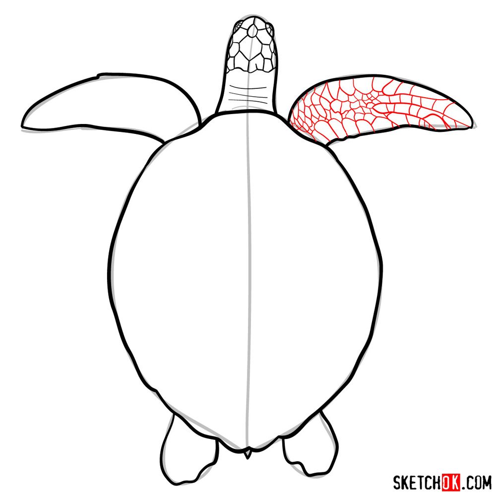 How to draw a Sea Turtle - step 08