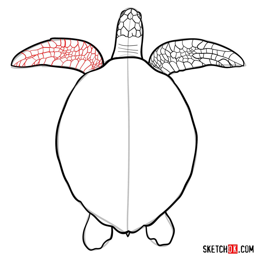 How to draw a Sea Turtle - step 09