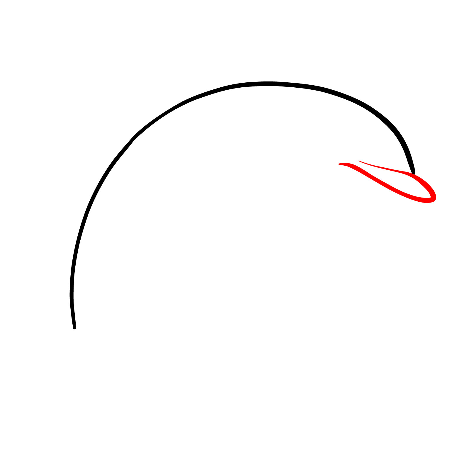 How to draw a dolphin, step 2, drawing the upper part of the rostrum