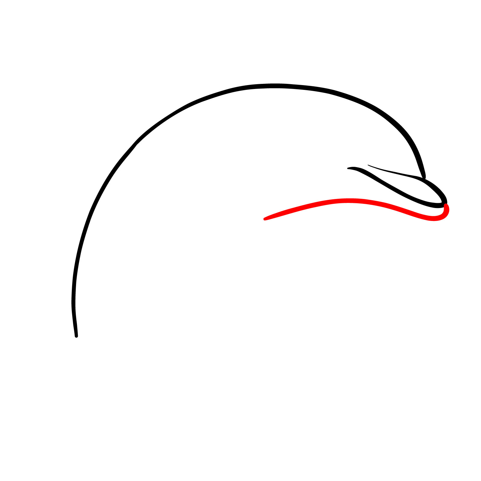 How to draw a dolphin, step 3, drawing the lower part of the rostrum