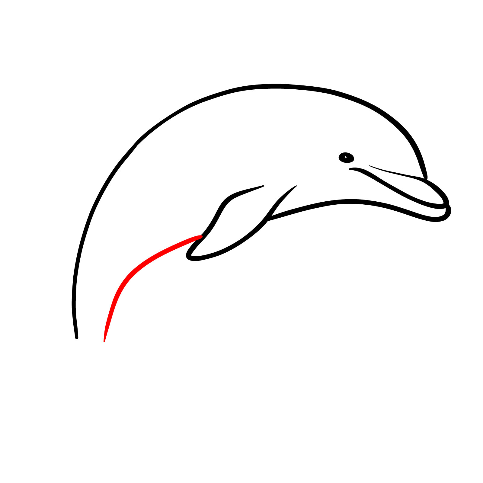 How to draw a dolphin, step 6, continuing the lower body line