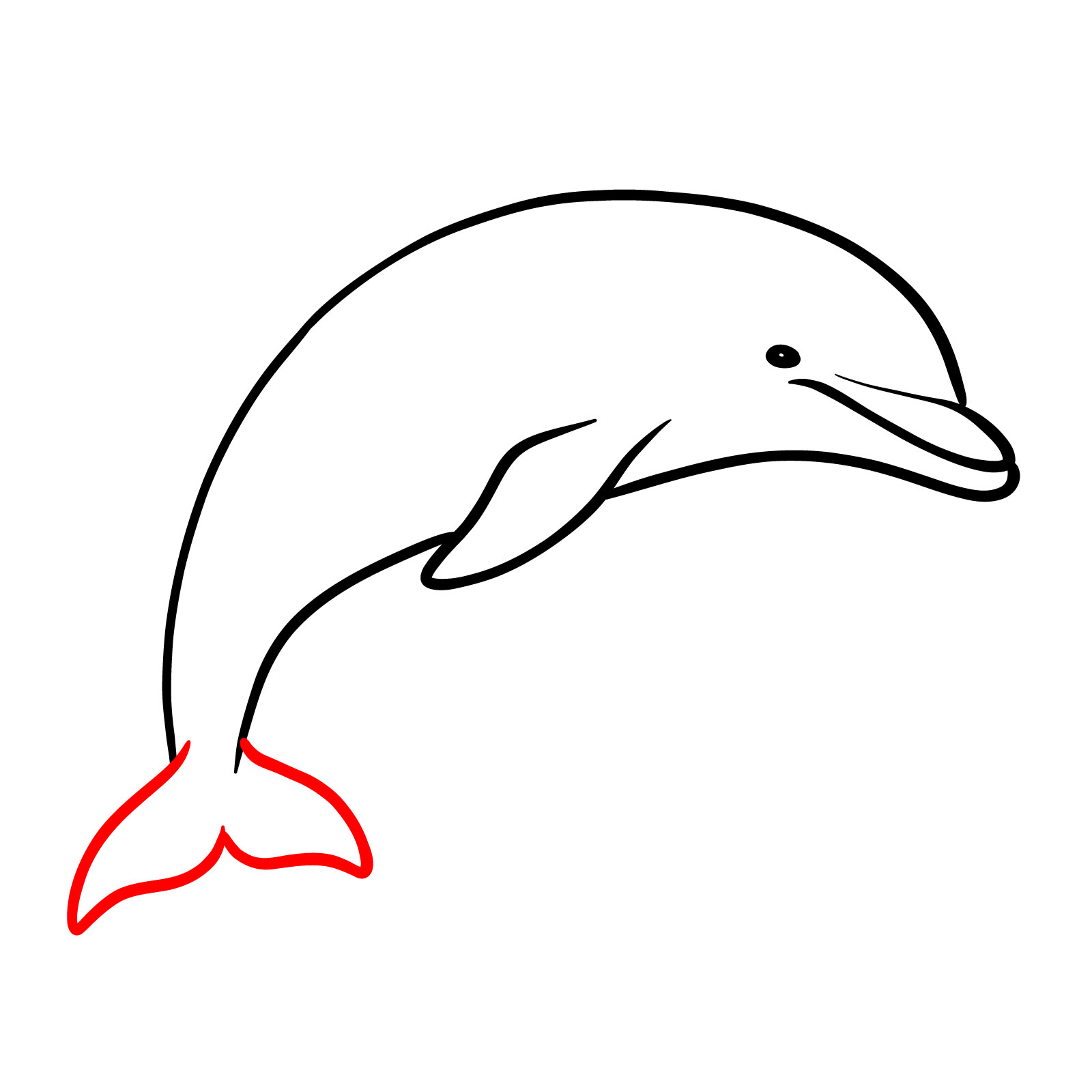 How to draw a dolphin, step 7, drawing the tail outline