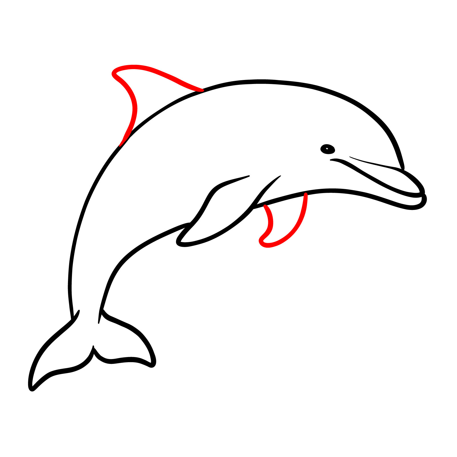 How to draw a dolphin, step 8, drawing the second pectoral fin and the dorsal fin