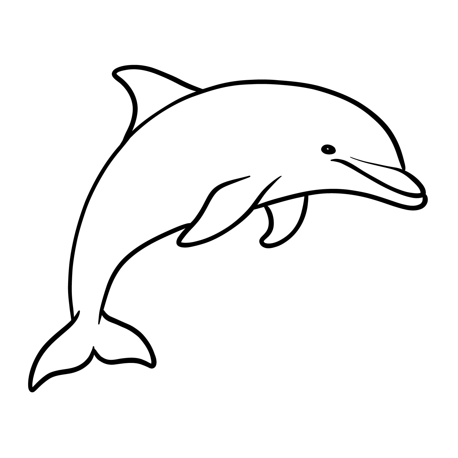 How to draw a dolphin, step 9, completing and refining the sketch