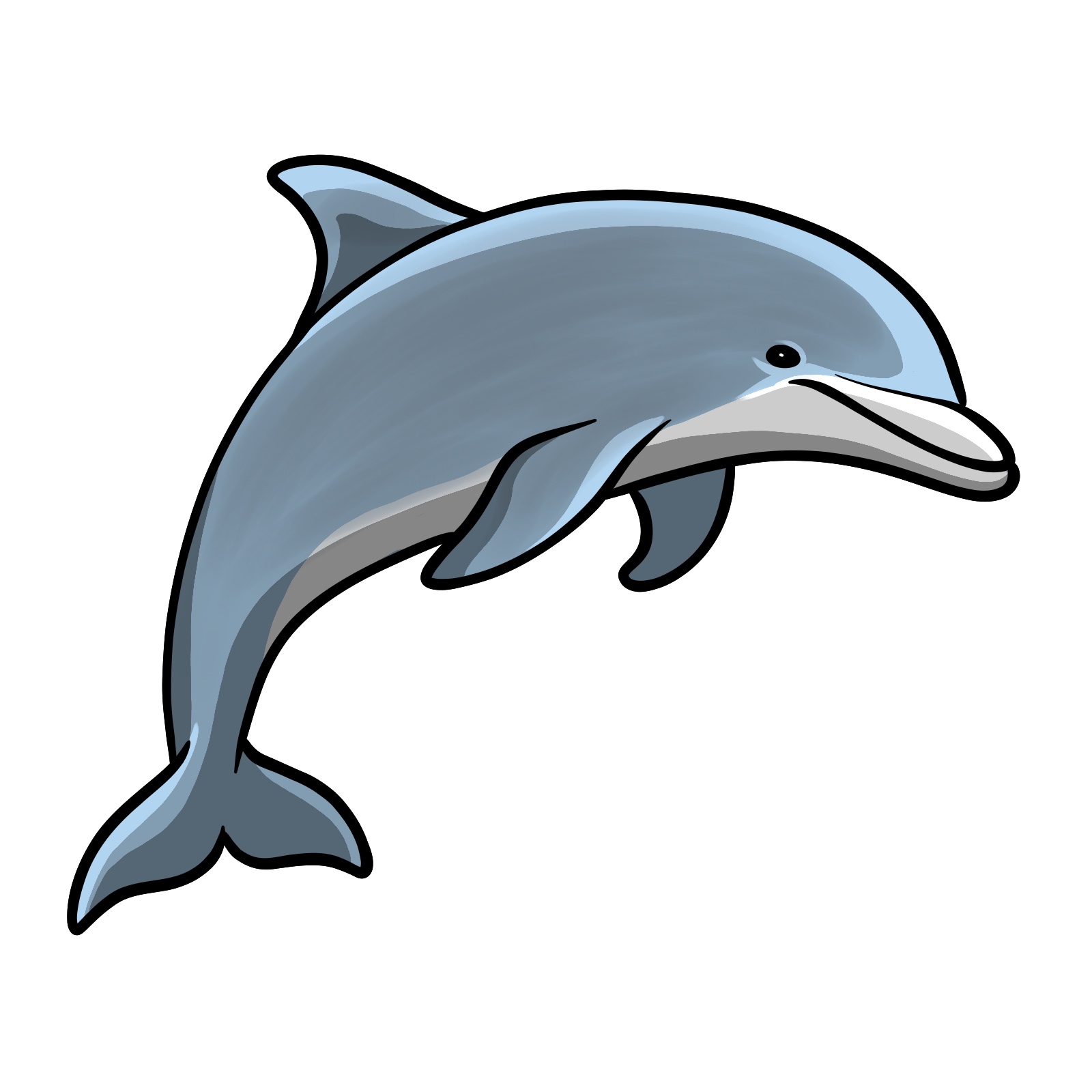 How to draw a dolphin, step 10, coloring the dolphin