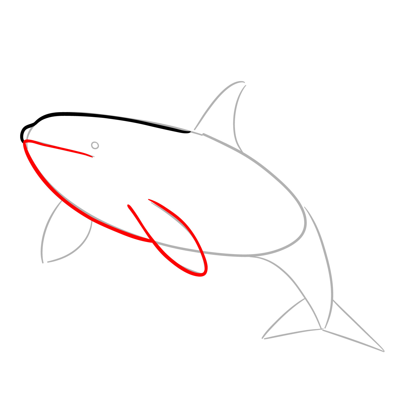 How to draw an orca, step 4, drawing the mouth, lower body, and pectoral fin