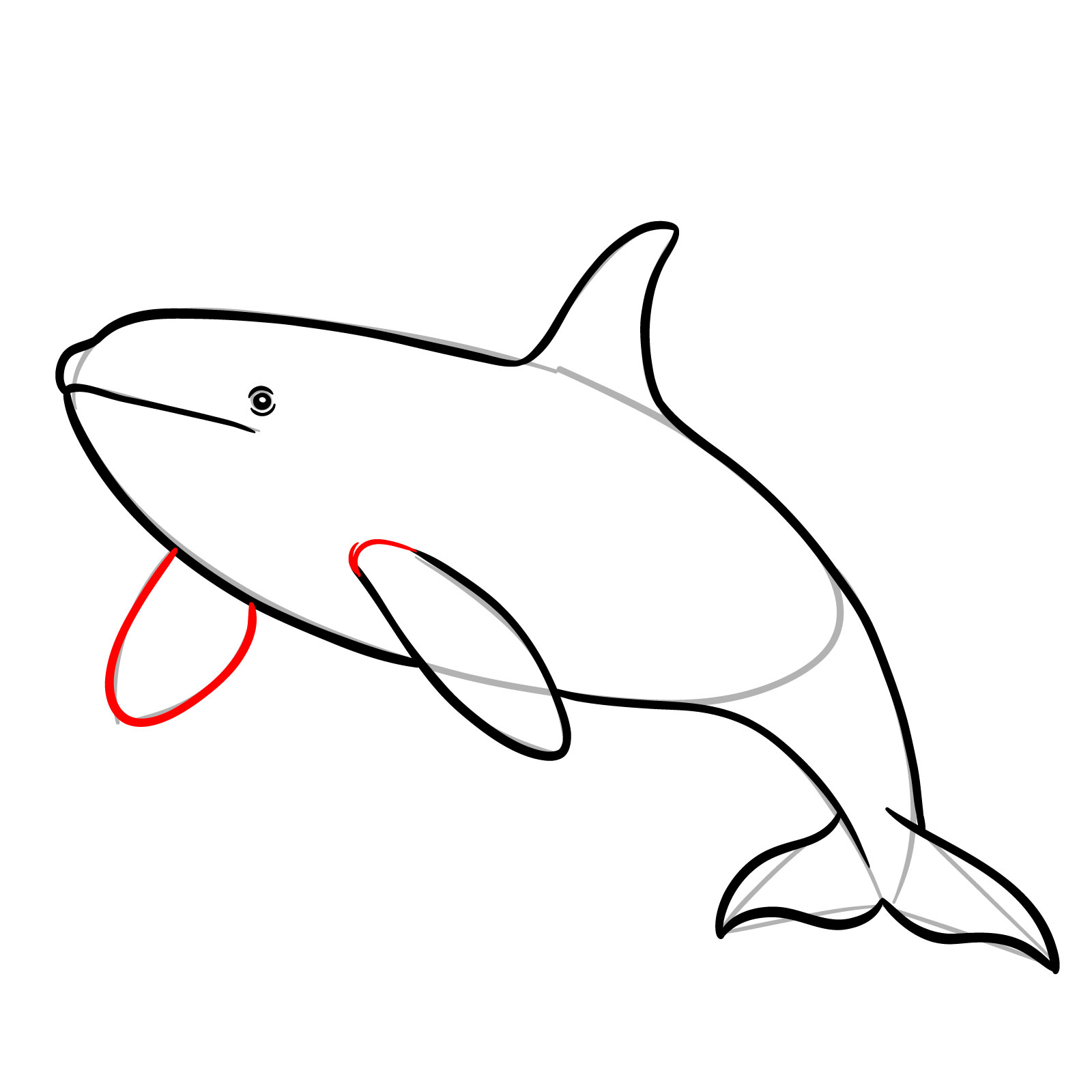 How to draw an orca, step 8, detailing the first pectoral fin and drawing the second